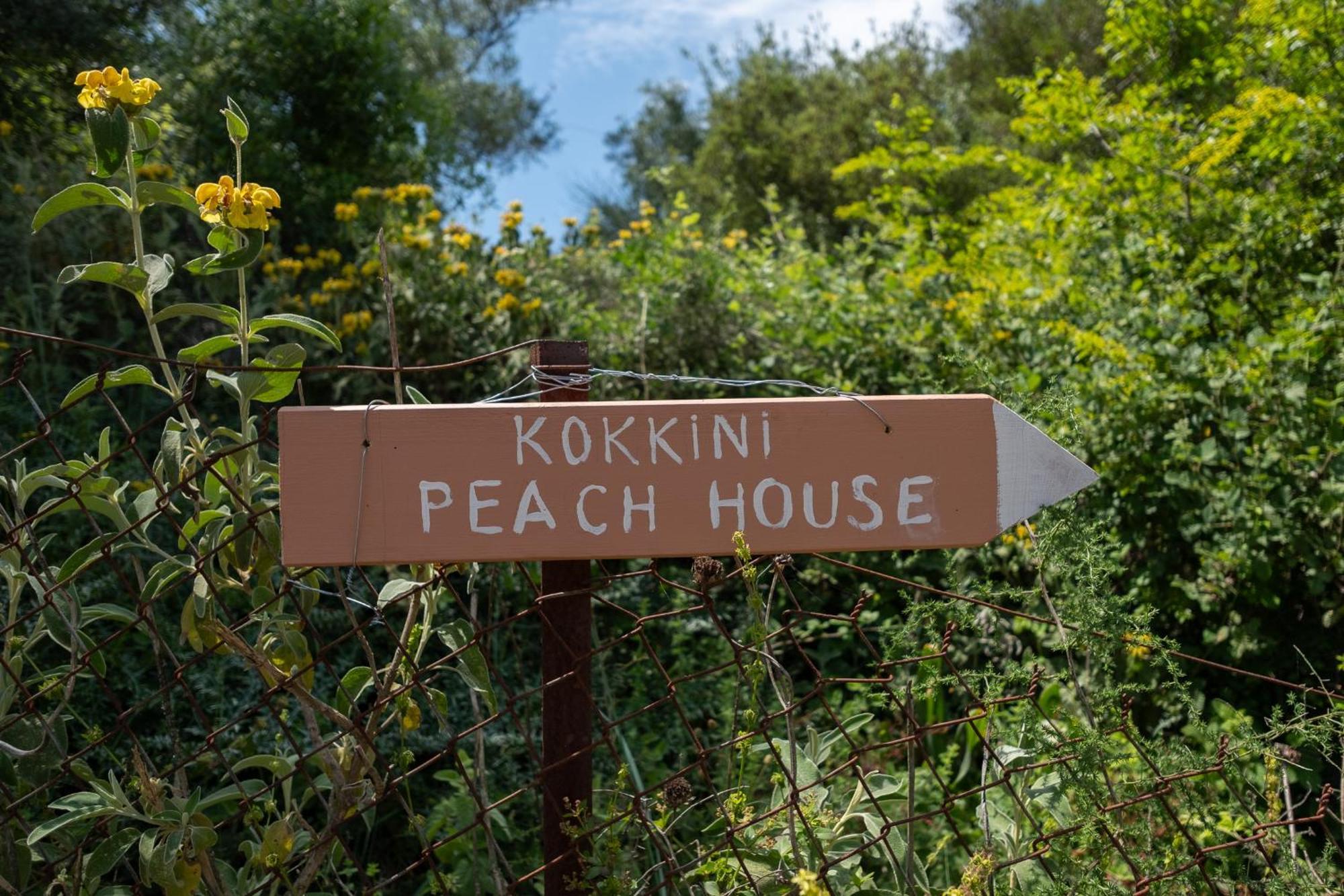 Kokkini Peach Budget Kokkínion 外观 照片